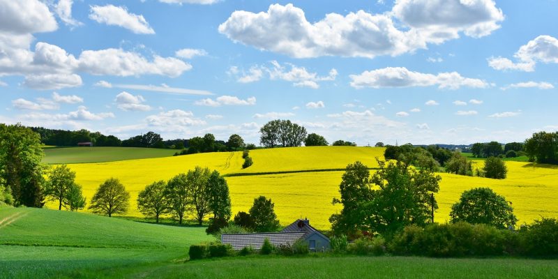landscape-3369304_1920